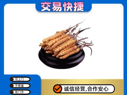 松原礼品回收散虫草.jpg